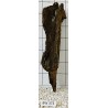 Bogwood 373