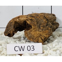 Corbo wood 03