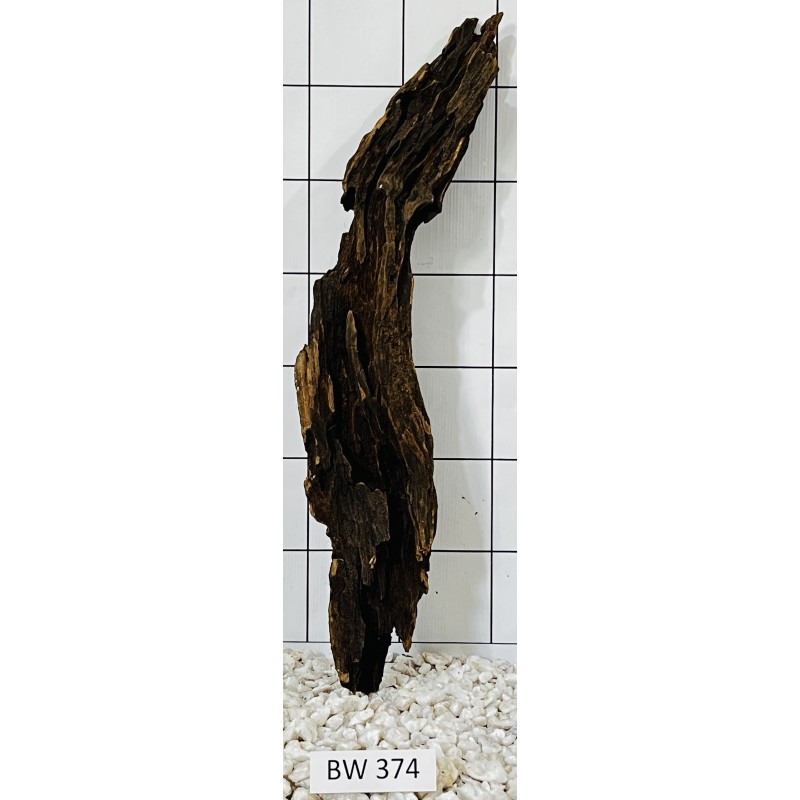 Bogwood 374