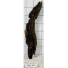Bogwood 374