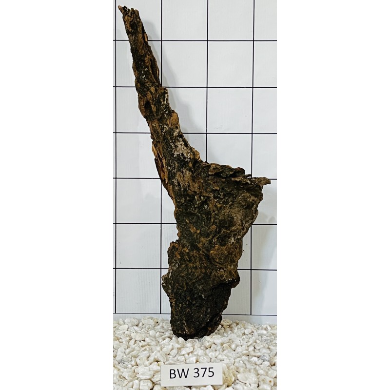 Bogwood 375