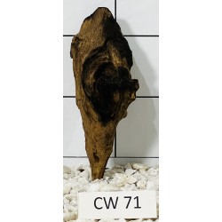 Corbo wood 71