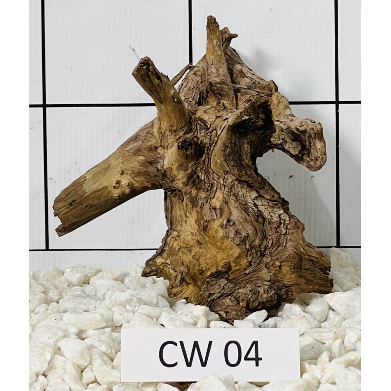 Corbo wood 04