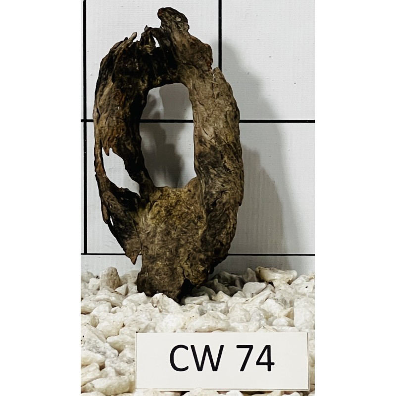 Corbo wood 74