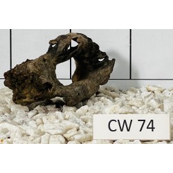 Corbo wood 74