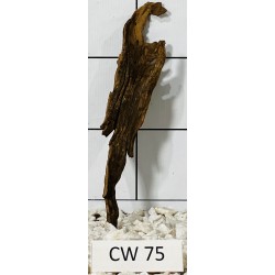 Corbo wood 75