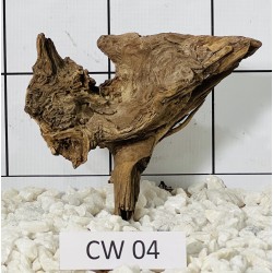 Corbo wood 04