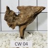 Corbo wood 04