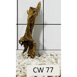 Corbo wood 77