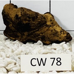 Corbo wood 78