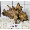 Corbo wood 04