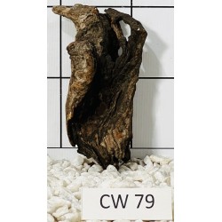 Corbo wood 79