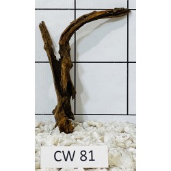 Corbo wood 81
