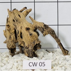 Corbo wood 05