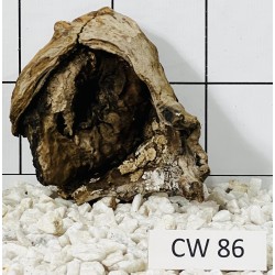 Corbo wood 86