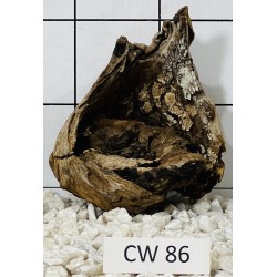 Corbo wood 86