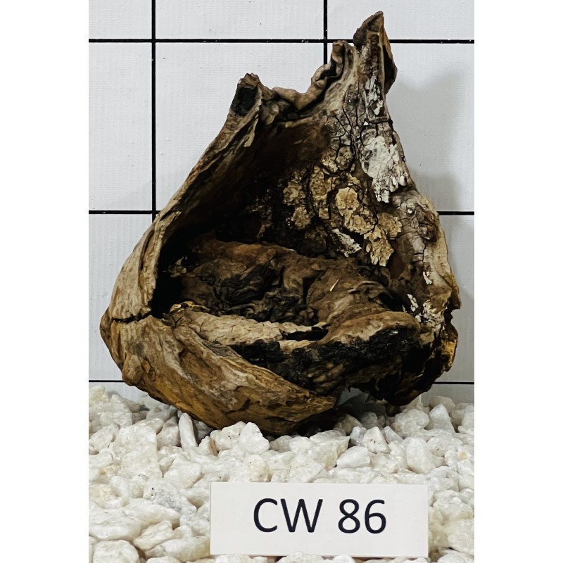 Corbo wood 86