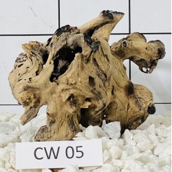 Corbo wood 05
