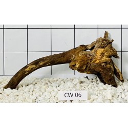 Corbo wood 06