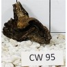 Corbo wood 95