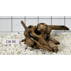 Corbo wood 06