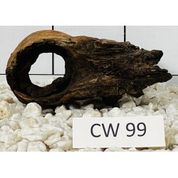 Corbo wood 99