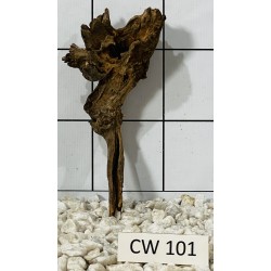 Corbo wood 101