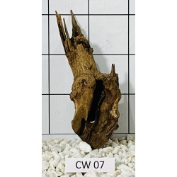 Corbo wood 07