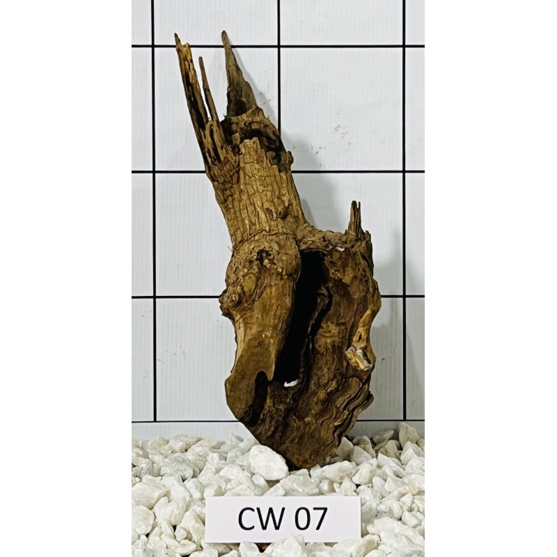 Corbo wood 07