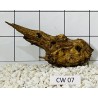 Corbo wood 07