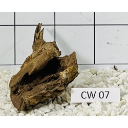 Corbo wood 07