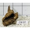 Corbo wood 07