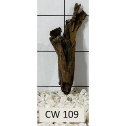 Corbo wood 109