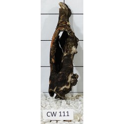 Corbo wood 111