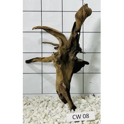 Corbo wood 08