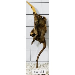Corbo wood 113