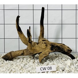 Corbo wood 08