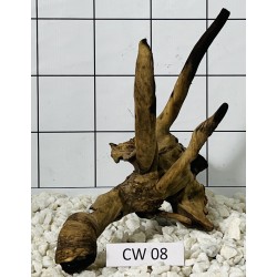 Corbo wood 08