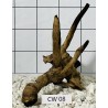 Corbo wood 08