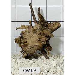 Corbo wood 09
