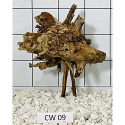 Corbo wood 09