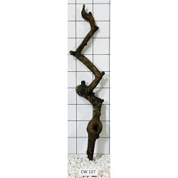 Corbo wood 127