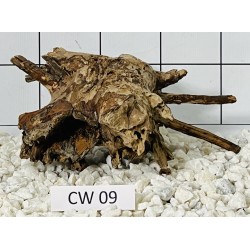 Corbo wood 09