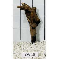 Corbo wood 10