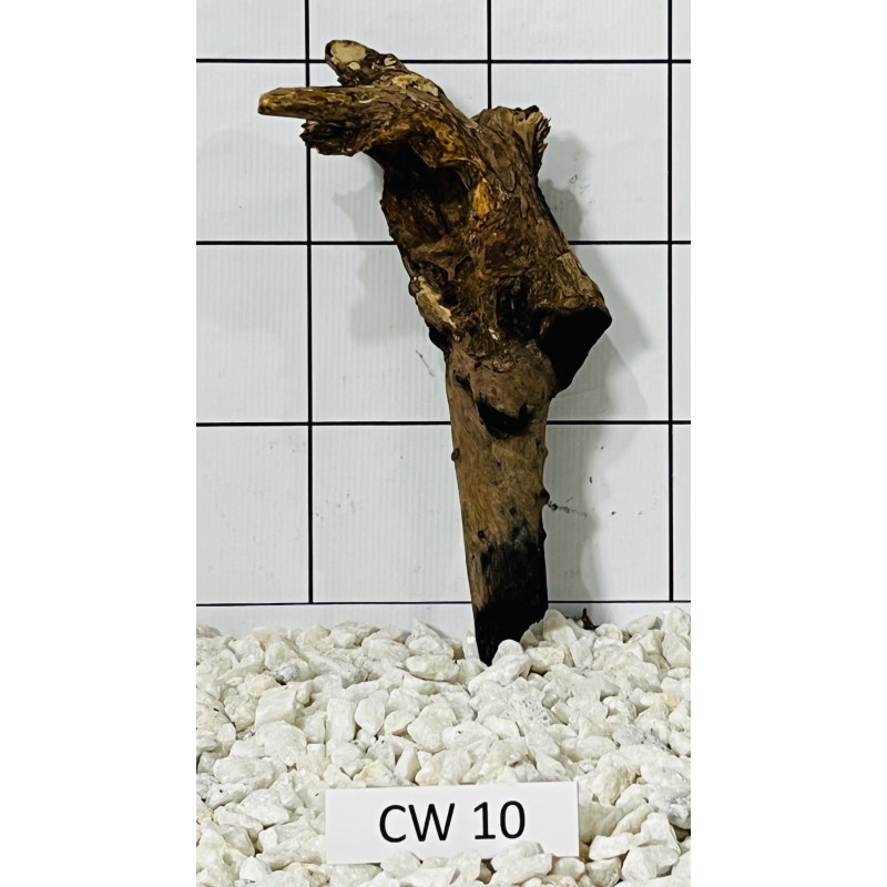 Corbo wood 10