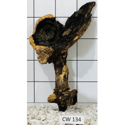 Corbo wood 134