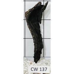 Corbo wood 137