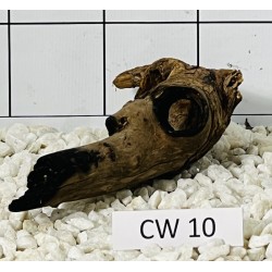 Corbo wood 10