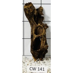 Corbo wood 141