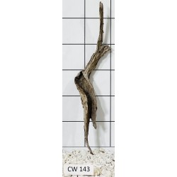 Corbo wood 143